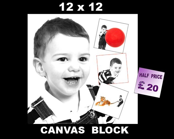12X12 CANVAS copy