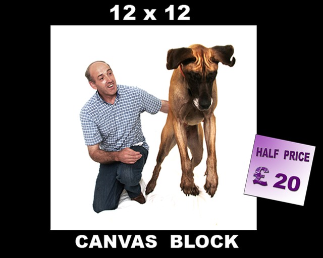 12X12 CANVAS DOG copy